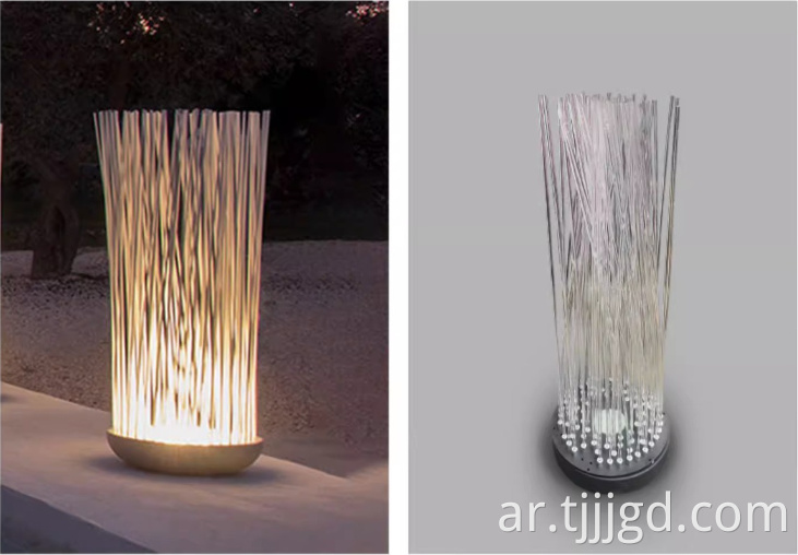 Fiber Optic Reed Light